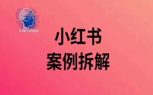 小红书案例拆解，深度解读小红书40万粉-领学通
