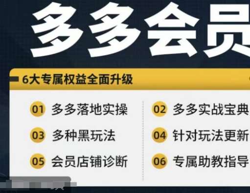 拼多多会员，拼多多实战宝典+实战落地实操，从新手到高阶内容全面覆盖-领学通