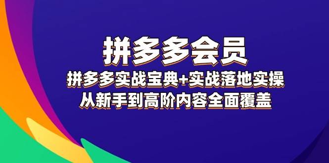 （12056期）拼多多 会员，拼多多实战宝典+实战落地实操，从新手到高阶内容全面覆盖-领学通