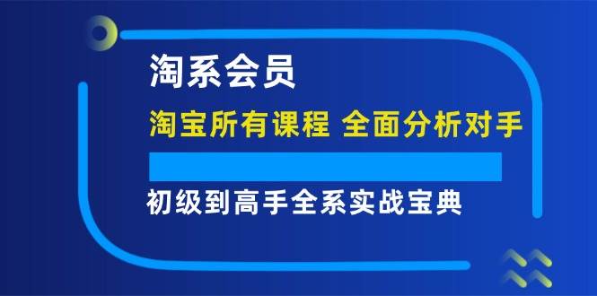 （12055期）淘系会员【淘宝所有课程，全面分析对手】，初级到高手全系实战宝典-领学通