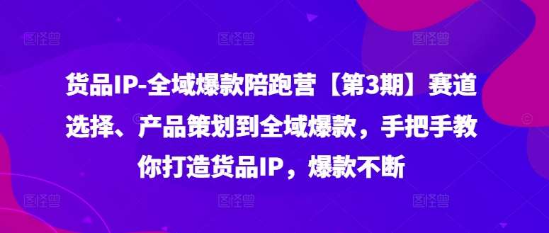 货品IP全域爆款陪跑营【第3期】赛道选择、产品策划到全域爆款，手把手教你打造货品IP，爆款不断-领学通