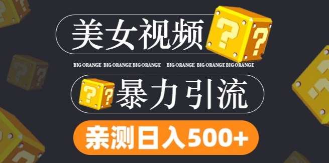 搬运tk美女视频全网分发，日引s粉300+，轻松变现，不限流量不封号【揭秘】-领学通