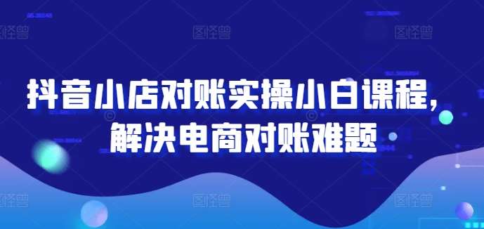 抖音小店对账实操小白课程，解决电商对账难题-领学通