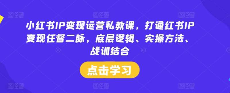 小红书IP变现运营私教课，打通红书IP变现任督二脉，底层逻辑、实操方法、战训结合-领学通