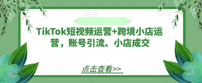 TikTok短视频运营+跨境小店运营，账号引流、小店成交-领学通