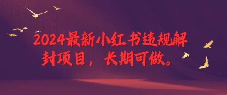 2024最新小红书违规解封项目，长期可做，一个可以做到退休的项目【揭秘】-领学通