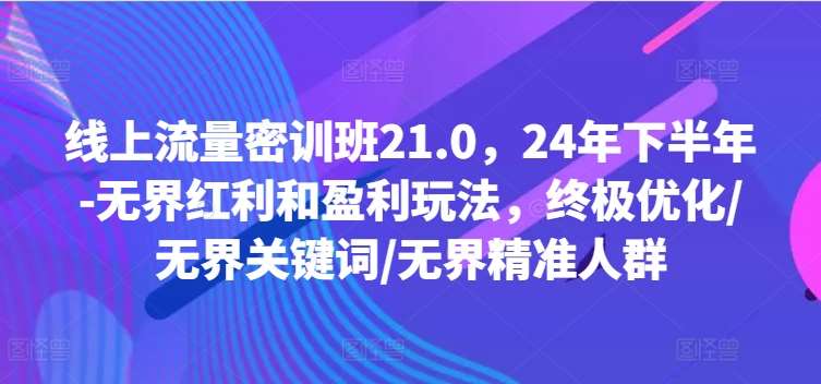 线上流量密训班21.0，24年下半年-无界红利和盈利玩法，终极优化/无界关键词/无界精准人群-领学通