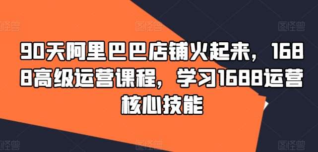 90天阿里巴巴店铺火起来，1688高级运营课程，学习1688运营核心技能-领学通