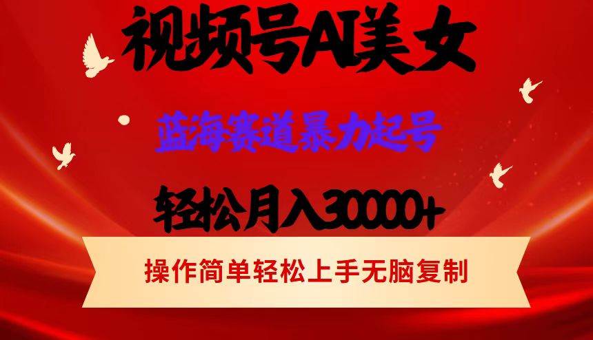 （12178期）视频号AI美女跳舞，轻松月入30000+，蓝海赛道，流量池巨大，起号猛，当…-领学通