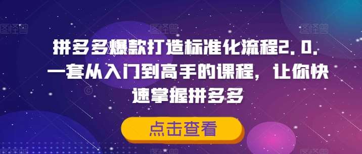 拼多多爆款打造标准化流程2.0，一套从入门到高手的课程，让你快速掌握拼多多-领学通