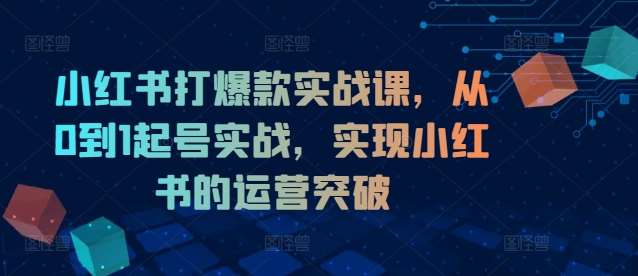 小红书打爆款实战课，从0到1起号实战，实现小红书的运营突破-领学通