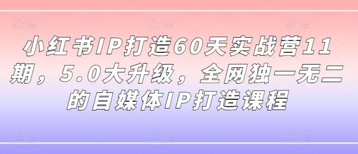 小红书IP打造60天实战营11期，5.0大升级，全网独一无二的自媒体IP打造课程-领学通