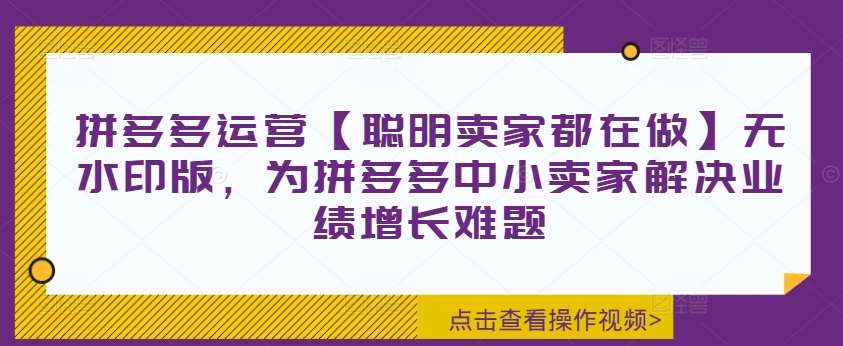 拼多多运营【聪明卖家都在做】无水印版，为拼多多中小卖家解决业绩增长难题-领学通