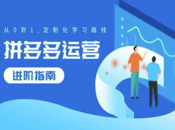 拼多多运营进阶指南，从0到1定制化学习路线-领学通
