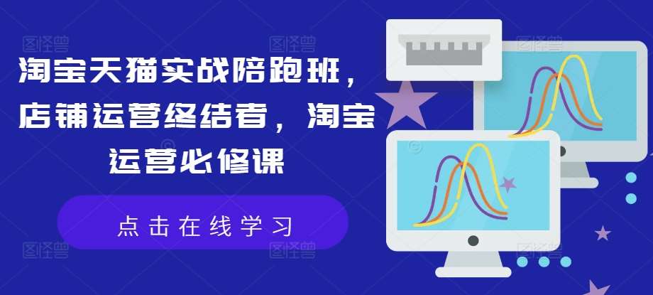 淘宝天猫实战陪跑班，店铺运营终结者，淘宝运营必修课-领学通