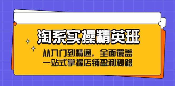 （12276期）淘系实操精英班：从入门到精通，全面覆盖，一站式掌握店铺盈利秘籍-领学通