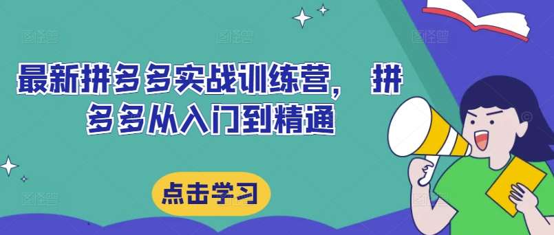 最新拼多多实战训练营， 拼多多从入门到精通-领学通