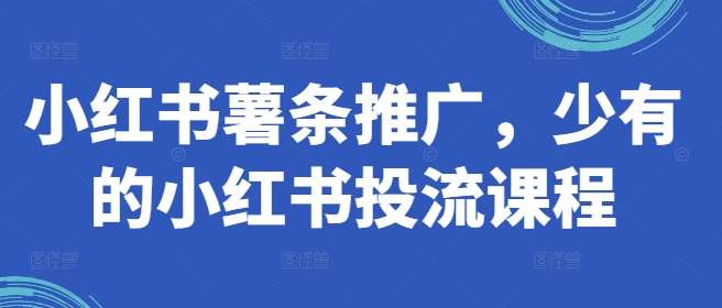 小红书薯条推广，少有的小红书投流课程-领学通