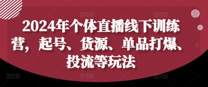 2024年个体直播训练营，起号、货源、单品打爆、投流等玩法-领学通