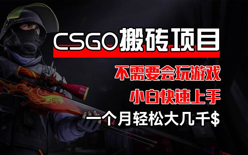 （12332期）CSGO 装备搬砖项目，操作简单，不需要会玩游戏，小白也能快速上手，一…-领学通