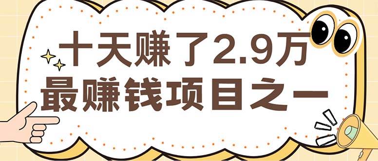 （12491期）闲鱼小红书赚钱项目之一，轻松月入6万+项目-领学通