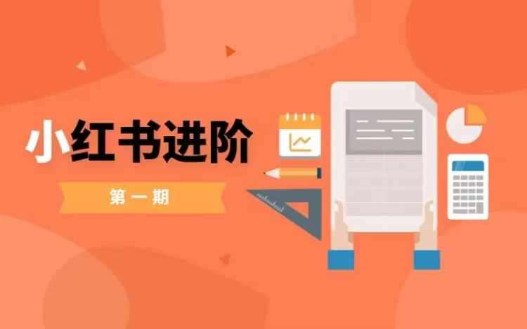 小红书进阶篇，零基础小白实战课，普通人变现的课程-领学通