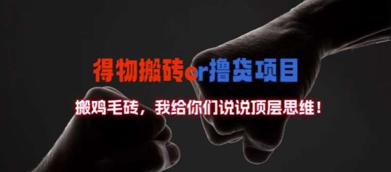得物搬砖撸货项目?掰下数据，我给你们说说顶层思维【揭秘】-领学通