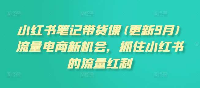 小红书笔记带货课(更新9月)流量电商新机会，抓住小红书的流量红利-领学通