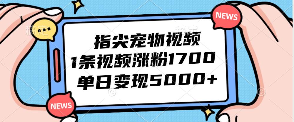 （12549期）指尖宠物视频，1条视频涨粉1700，单日变现5000+-领学通