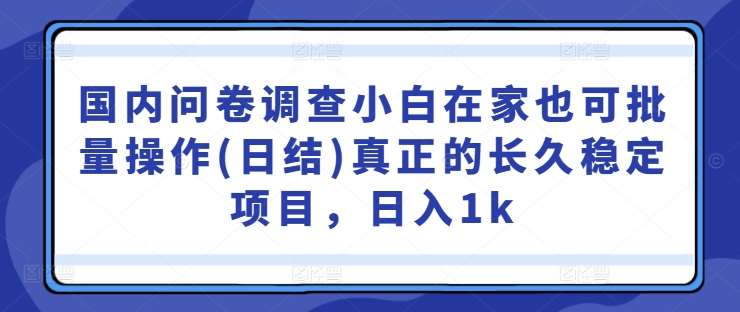 国内问卷调查小白在家也可批量操作(日结)真正的长久稳定项目，日入1k【揭秘】-领学通