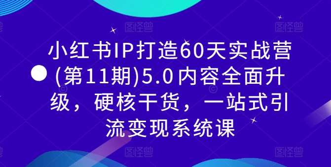 小红书IP打造60天实战营(第11期)5.0​内容全面升级，硬核干货，一站式引流变现系统课-领学通