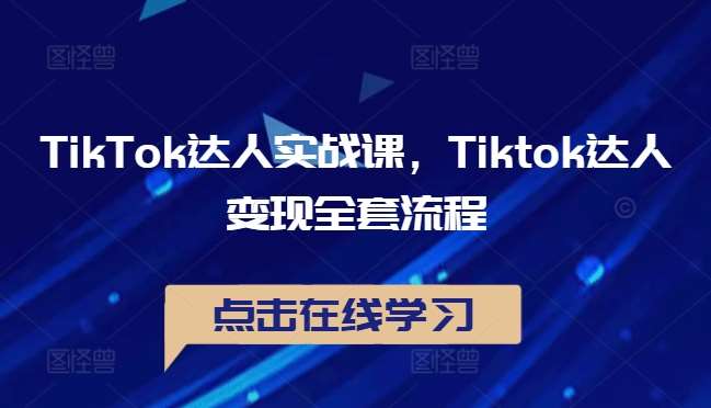 TikTok达人实战课，Tiktok达人变现全套流程-领学通
