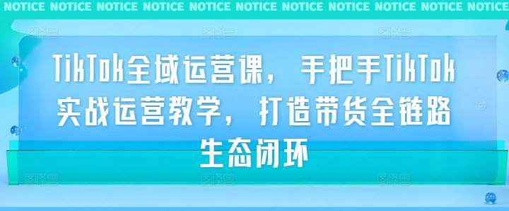 TikTok全域运营课，手把手TikTok实战运营教学，打造带货全链路生态闭环-领学通