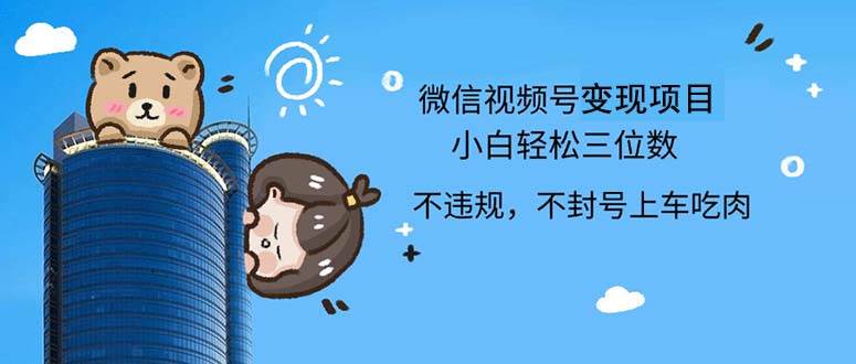 （12660期）2024最新微信视频号，0撸项目，自己玩，小白轻松日入三位数-领学通