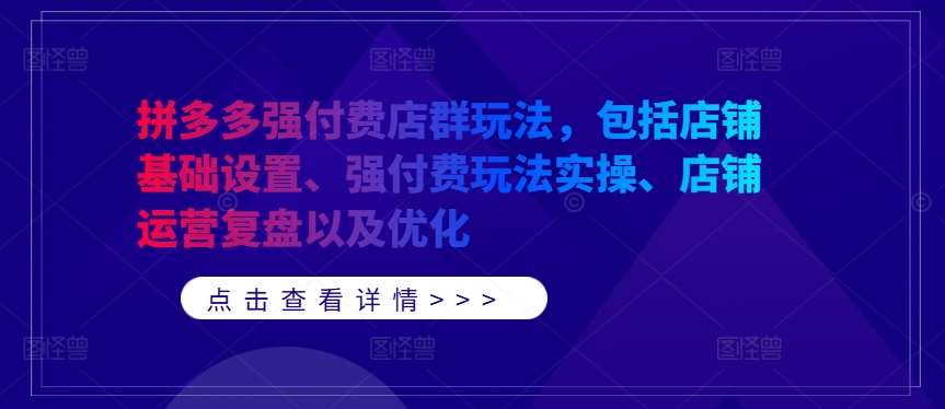 拼多多强付费店群玩法，包括店铺基础设置、强付费玩法实操、店铺运营复盘以及优化-领学通