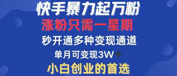 快手暴力起万粉，涨粉只需一星期，多种变现模式，直接秒开万合，单月变现过W【揭秘】-领学通