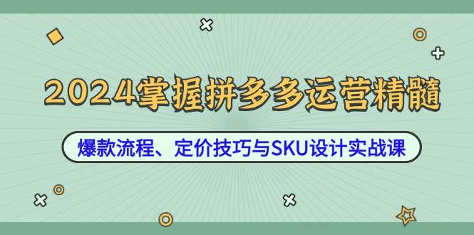 （12703期）2024掌握拼多多运营精髓：爆款流程、定价技巧与SKU设计实战课-领学通