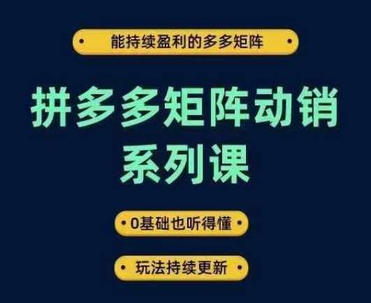 拼多多矩阵动销系列课，能持续盈利的多多矩阵，0基础也听得懂，玩法持续更新-领学通