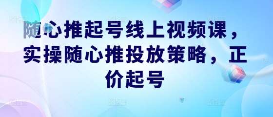 随心推起号线上视频课，实操随心推投放策略，正价起号-领学通
