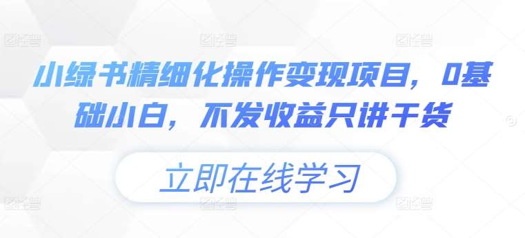 小绿书精细化操作变现项目，0基础小白，不发收益只讲干货-领学通