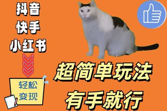 超简单玩法，有手就行，靠猫咪视频日入500+【揭秘】-领学通