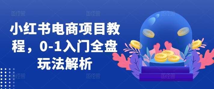 小红书电商项目教程，0-1入门全盘玩法解析-领学通