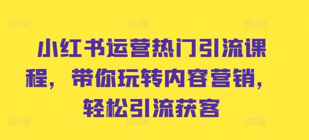 小红书运营热门引流课程，带你玩转内容营销，轻松引流获客-领学通