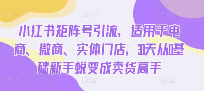 小红书矩阵号引流，适用于电商、微商、实体门店，30天从0基础新手蜕变成卖货高手-领学通