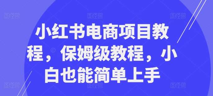 小红书电商项目教程，保姆级教程，小白也能简单上手-领学通