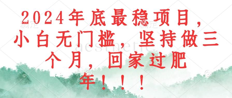 （12970期）2024年底最稳项目，小白无门槛，坚持做三个月，回家过肥年！！！-领学通