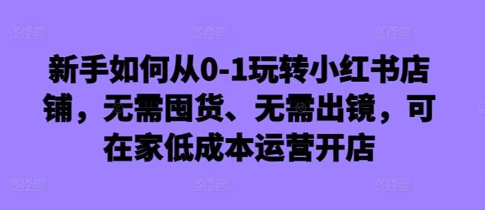 新手如何从0-1玩转小红书店铺，无需囤货、无需出镜，可在家低成本运营开店-领学通