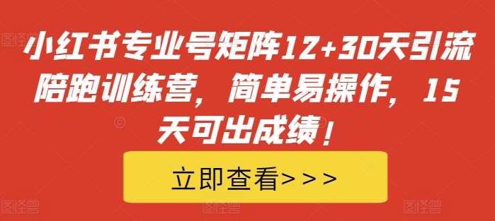 小红书专业号矩阵12+30天引流陪跑训练营，简单易操作，15天可出成绩!-领学通