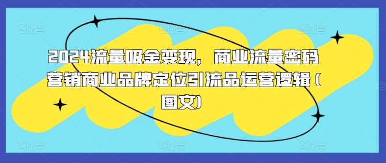 2024流量吸金变现，商业流量密码营销商业品牌定位引流品运营逻辑(图文)-领学通