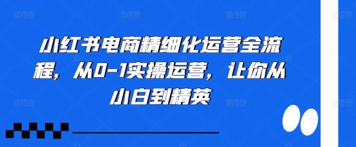 小红书电商精细化运营全流程，从0-1实操运营，让你从小白到精英-领学通